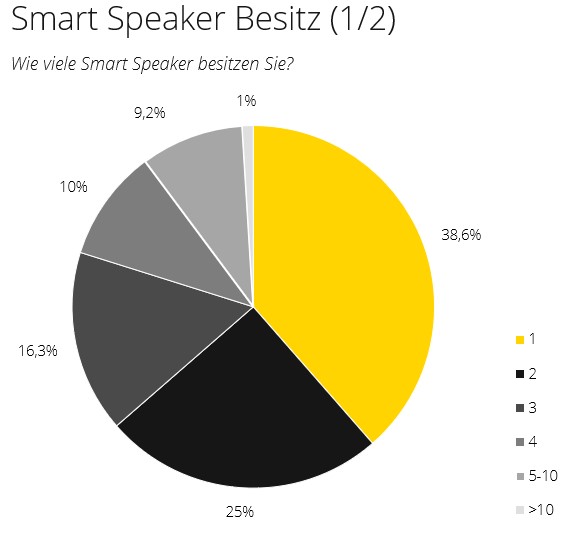 Smart Speaker Besitz